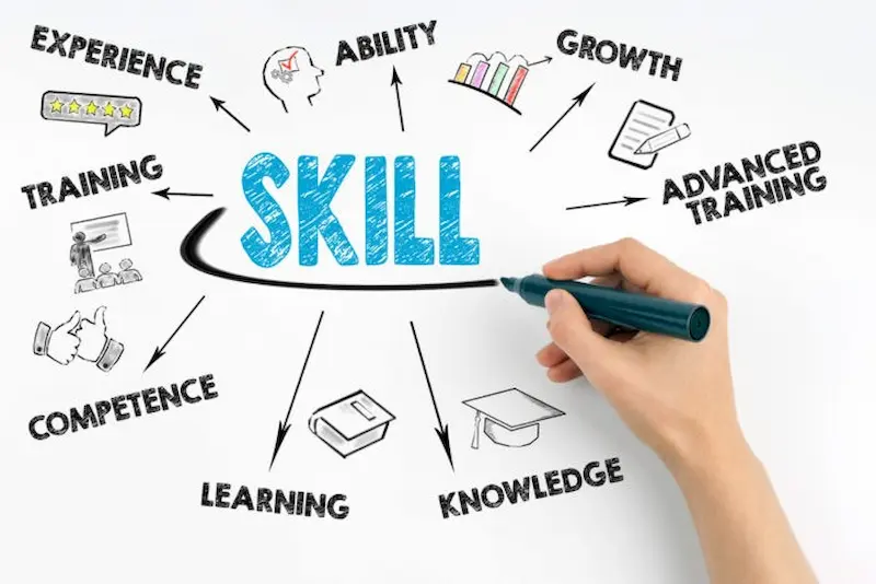 what is a career skills guide